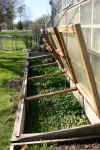 4812-Cold-frames-in-backyar.jpg (695923 bytes)