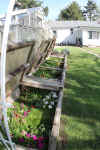 01592-Coldframe-Backyard-6p.jpg (444755 bytes)